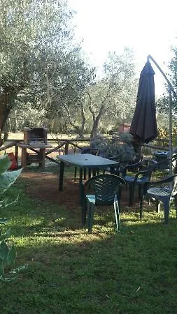 Il Pozzo Romano Vetralla